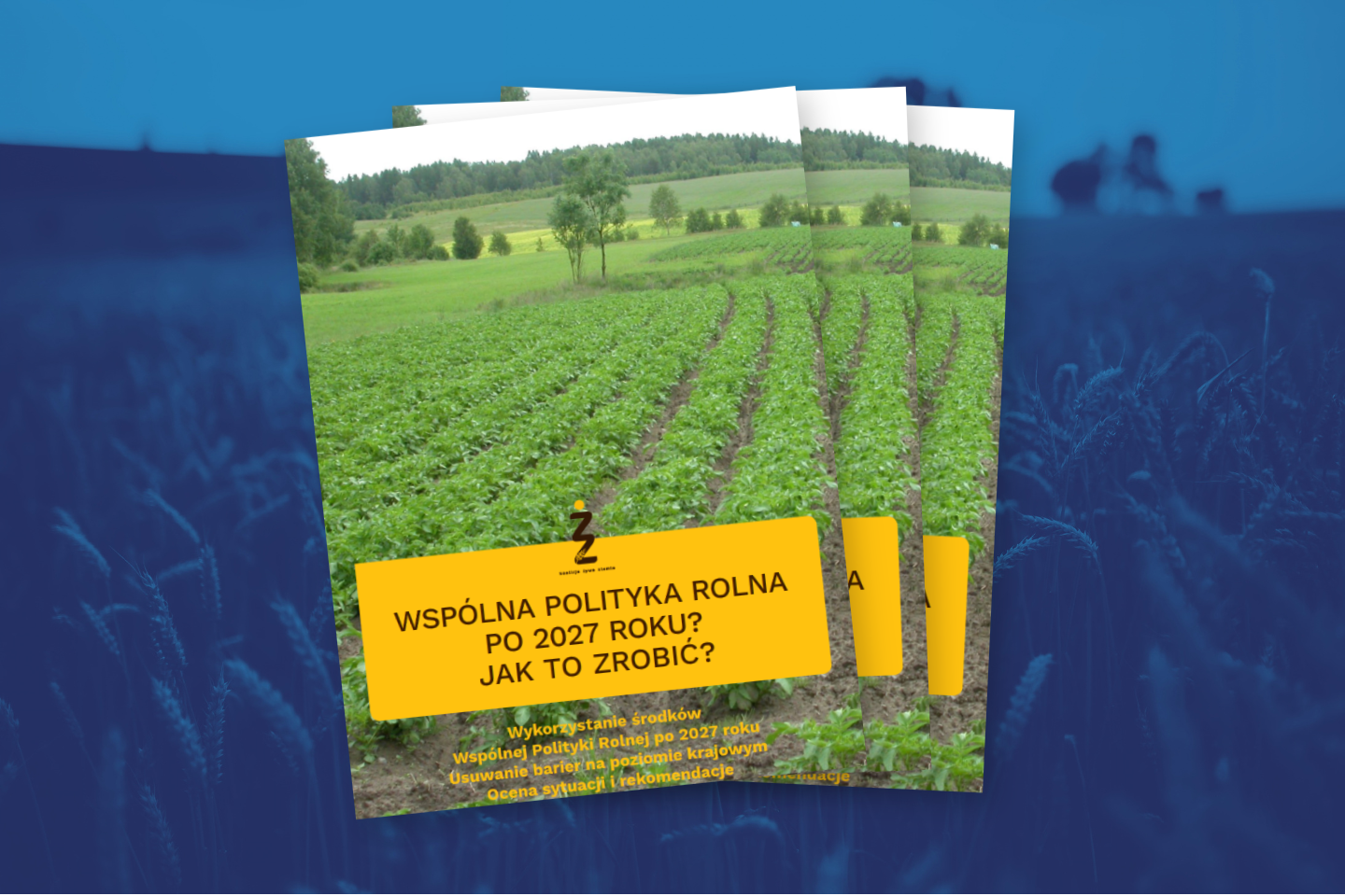Wspólna Polityka Rolna po 2027 roku? Jak to zrobić? Nowa publikacja Koalicji Żywa Ziemia